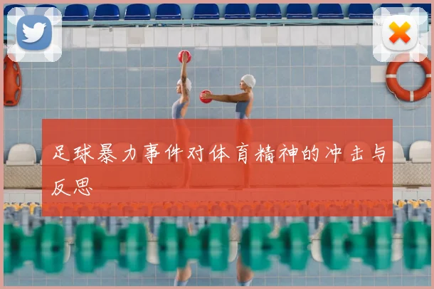 足球暴力事件对体育精神的冲击与反思